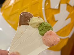 -野人先生Gelato(上海长宁龙之梦店)