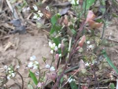 -天津武清北运河郊野公园房车露营地