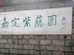 -嘉定紫藤园