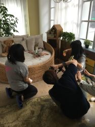 -WPlus明星肖像亲子全家福摄影
