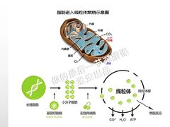 -加伍磅健身(千树店)