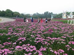 -松山湖梦幻百花洲