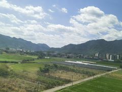 -芦茨金富饭庄·25年老字号·专做稻草鸡