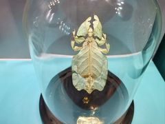 -惠州西湖风景名胜区-丰渚园