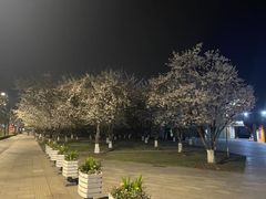 -龙美术馆西岸馆-停车场