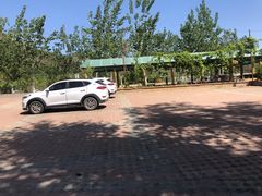 -北京龙庆四季香农家饭庄·灶台鱼·碳烤虹鳟鱼(龙庆峡店)