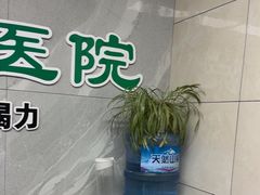 -半岛宠物医院24小时(白果林店)