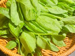 -季季山·云南野生菌火锅(上海首店)