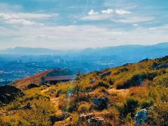-长虫山生态公园风景林