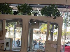 -唐小姐の私宠·宠物洗护美容·撸猫馆·购宠(周浦万达旗舰店)