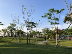 -白石龙音乐公园