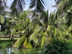 -白沙门生态公园