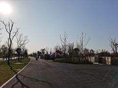 -上海滨江森林公园