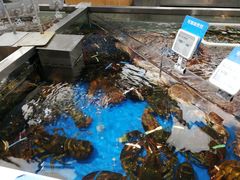 -盒马鲜生(大成店)