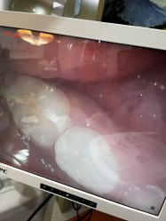 点击看大图 -睿宝儿科·眼科·口腔(杨浦新江湾城店)