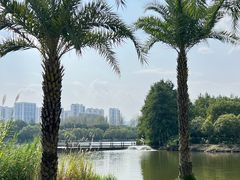 -浙江农林大学(东湖校区)