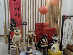 -柴迷FANS CLUB·柴犬狗咖·猫咖