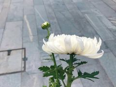 -侵华日军南京大屠杀遇难同胞纪念馆