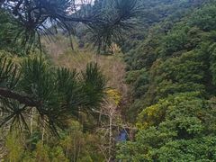 -玉渡山自然风景区