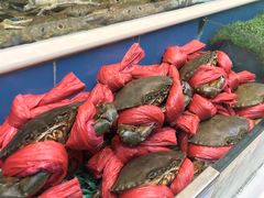 -宜宾海鲜酒家·三十年老字号