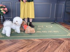 -尊卡诺高级西装礼服定制(江东中路店)