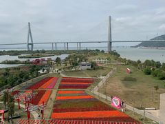 -芒洲湿地公园