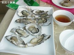 -海岛渔村大酒店(云霄路店)