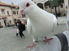 -华谊兄弟（长沙）电影小镇