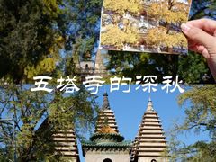 -北京石刻艺术博物馆(五塔寺)