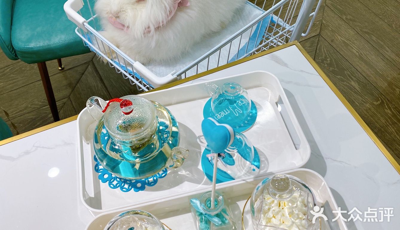 杭州探店｜来玩小兔纸啦🐰 