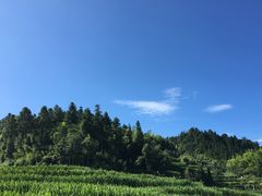 景点-云中大漈