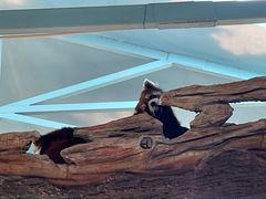 -石家庄市动物园