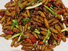 肉丝炒蚕蛹-金春禧·鲁菜海鲜(延吉路万达店)