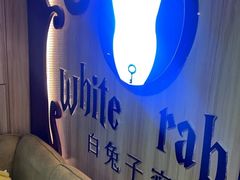 -白兔子密室(长寿路店)
