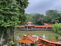 -深圳仙湖植物园