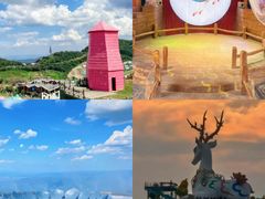 -阿露佳·舌尖上的安吉菜