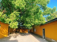 -西园戒幢律寺