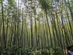 -同里国家湿地公园