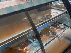 -大连圣亚海洋世界