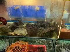 -寻味顺德·南记酒家·传统顺德菜·鱼生(广源路店)