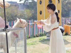 -上海佘山世茂艾美酒店