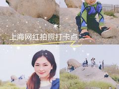 -洋山深水港