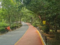 -大兴滨河森林公园