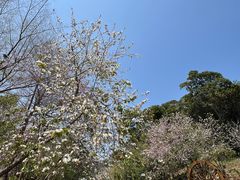 -广州白江湖森林公园