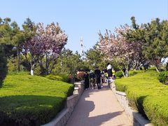-燕儿岛山公园