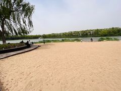 -大兴滨河森林公园