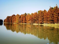 -上海海湾国家森林公园