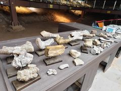 -世界恐龙谷景区