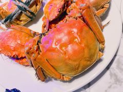 -半岛听涛蒸汽海鲜自助(K11店)