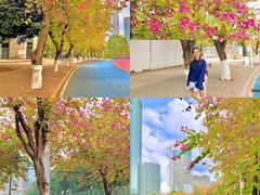 -天河体育中心